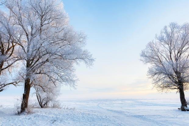 Will it snow in Worcester? Exact dates you could see snow in February 2024