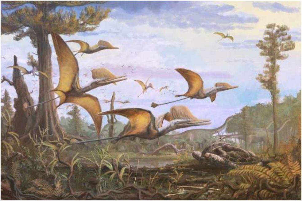 descubren una nueva especie de pterosaurio jurásico