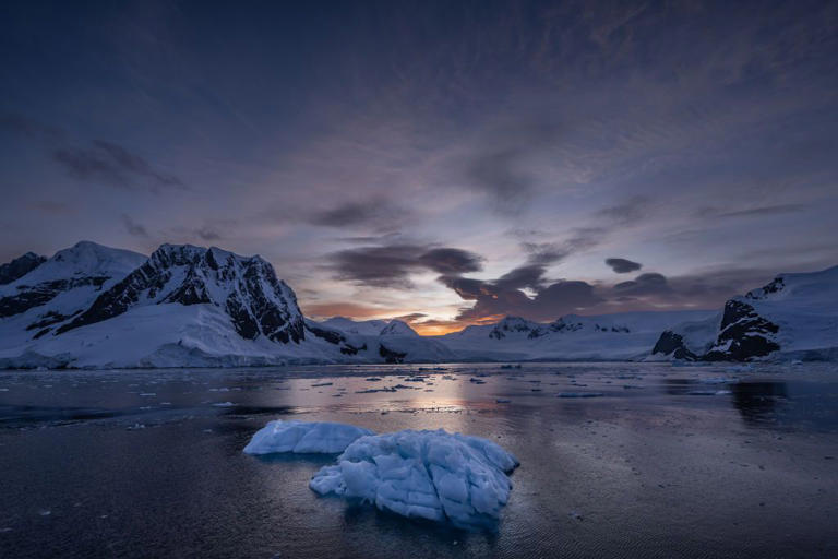 Cruising with Susan Calman: Antarctica is the series' unmissable adventure