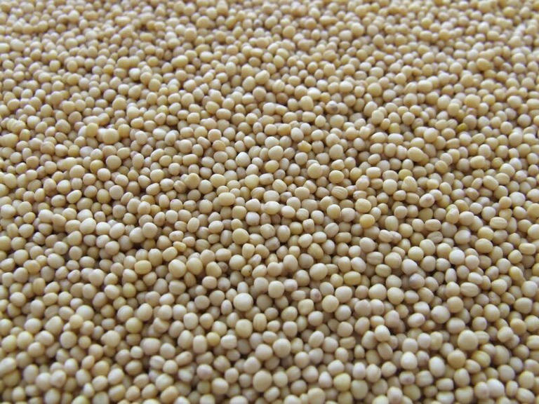 The US Soybean Market in 3 Charts