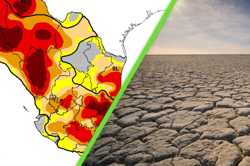 es febrero y 60% de méxico ya tiene sequía: estos son los 12 estados más afectados