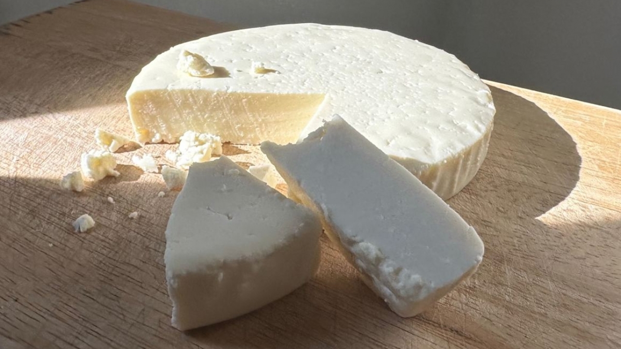 Deadly Listeria Outbreak Linked To Queso Fresco, Other Dairy Products