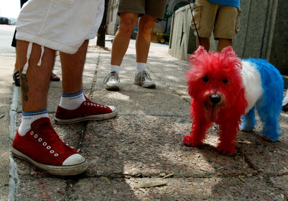 <p>Minneapolis may not have the greatest weather, but it’s still a great place for pets.  Each year, Minneapolis hosts a Canine Carnival that allows pets and their owners to get out and enjoy the sun.  Usually held in the spring, the event features several games and activities, including a “doggy beer bar” and free samples.</p>