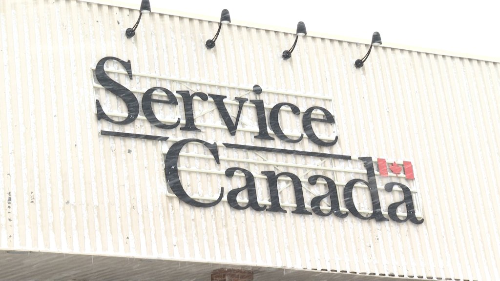 Service Canada Moves To Temporary New Location In Kingston   BB1hSxV0.img