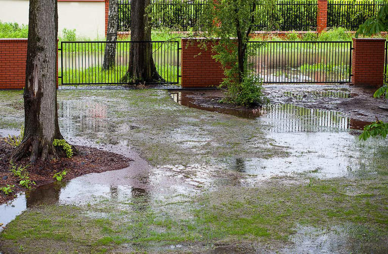 Curtain Drain Vs French Drain: 4 Key Differences And How To Choose The 