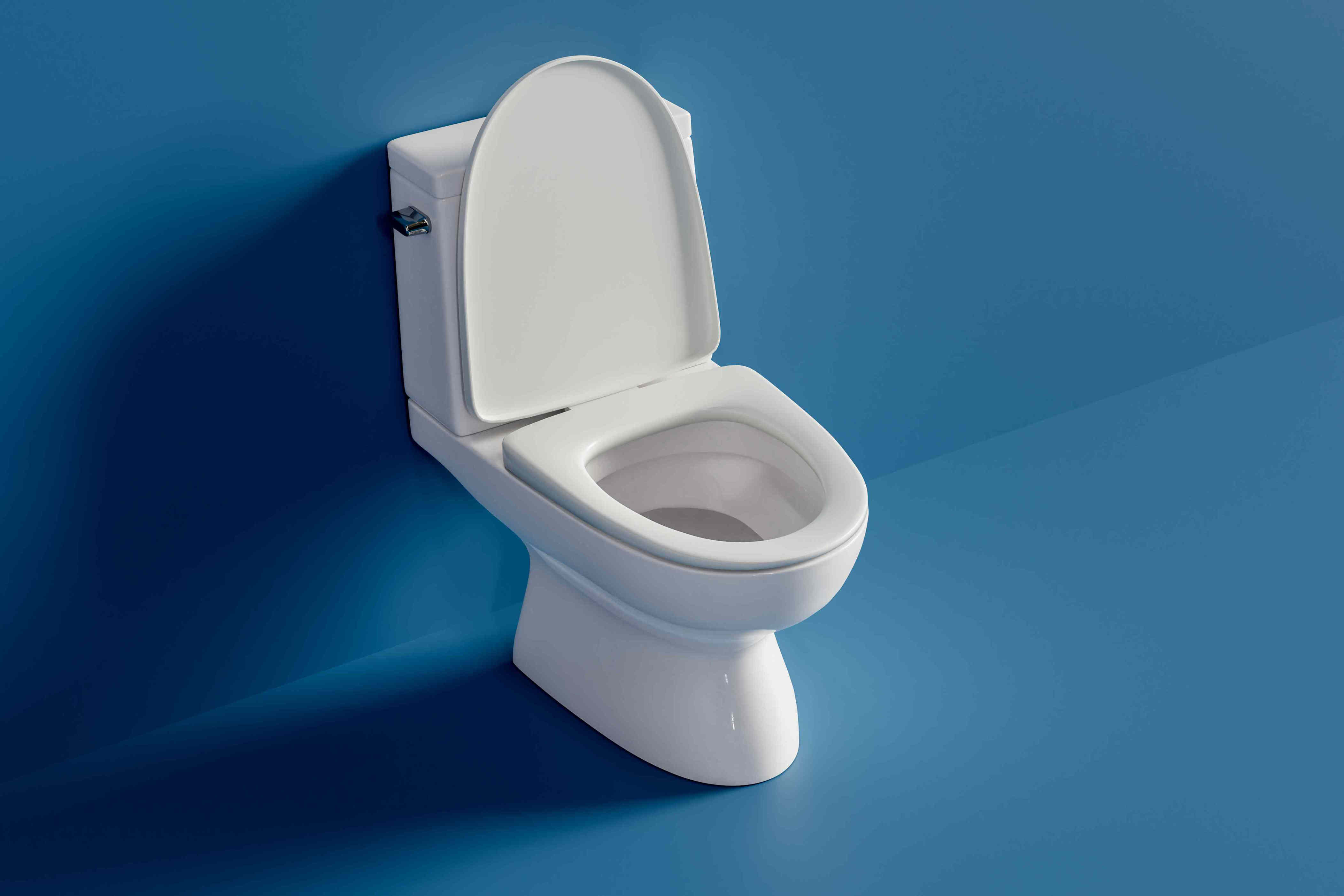 Do You Really Need to Close the Toilet Lid Before Flushing?