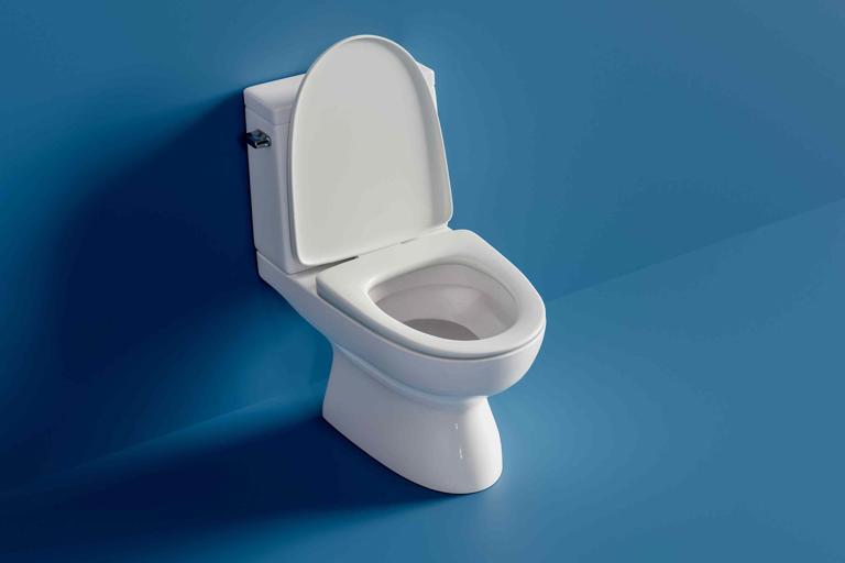 Do You Really Need to Close the Toilet Lid Before Flushing?