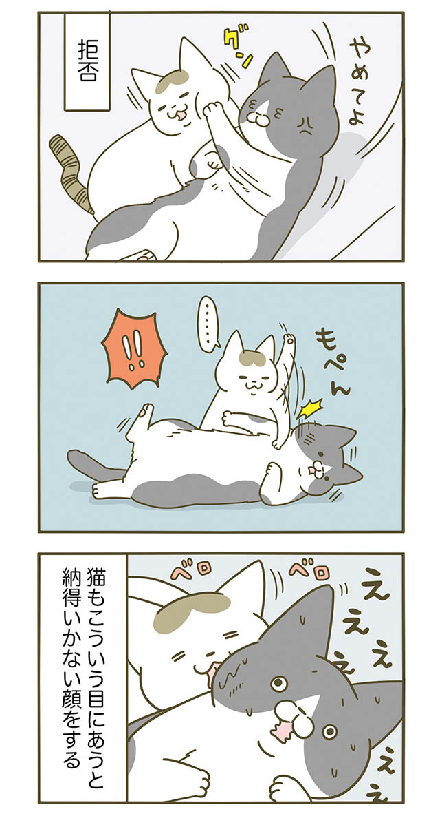 どうしても添い寝したいシノさん。ひとりで寝たいトンちゃんに拒否されると？／うちの猫がまた変なことしてる。3