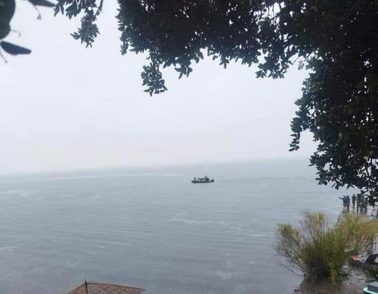 Von Abessinier bis Siamkatze Die Ursprünge der beliebtesten Katzenrassen der Welt