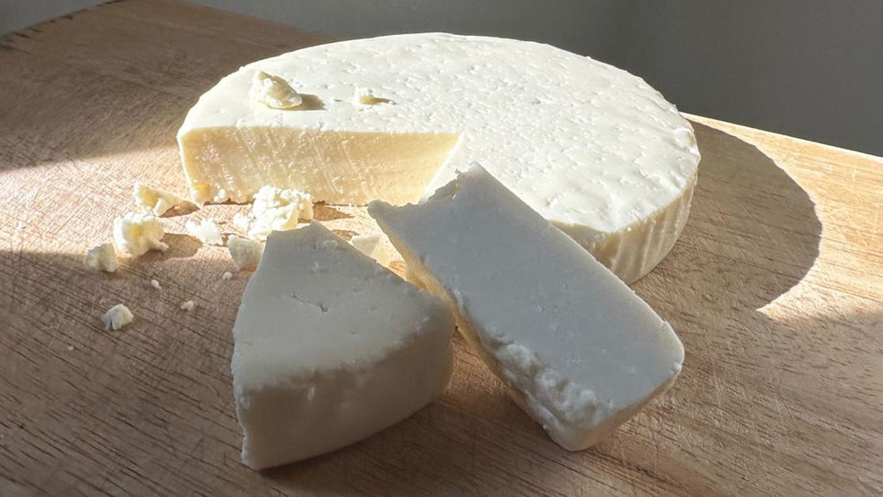 Multiple Cheese Brands Recalled Over Listeria Worries