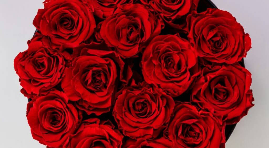 Blinkit Registers Record Sales Of Roses, Chocolates As Valentine Week ...