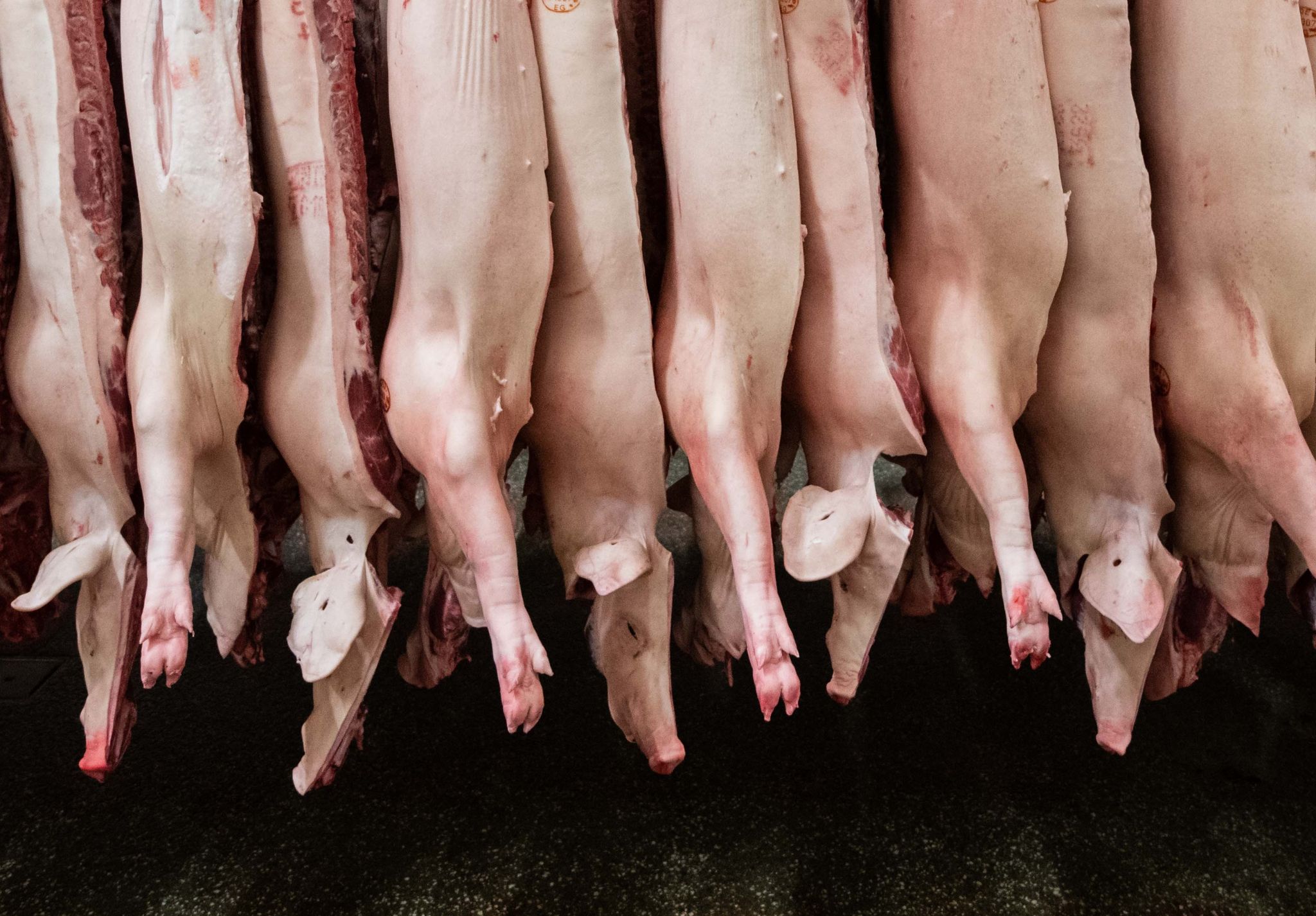 fleischproduktion sinkt weiter