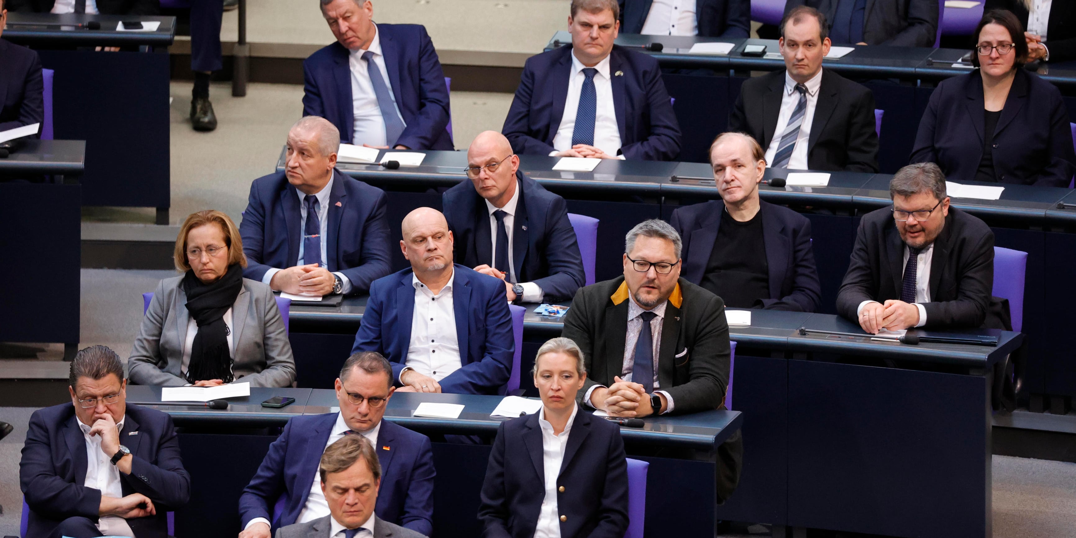 Bis 40 Prozent Der Mitglieder - AfD Scheitert Mit Eilantrag Gegen ...