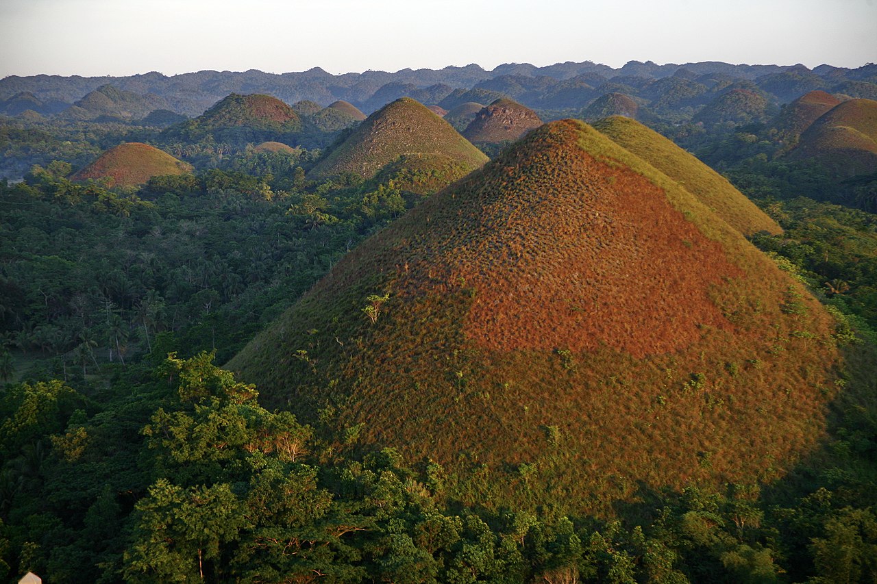 <p>To geologists, the hills are categorized as “conical karst topography.” That’s just a fancy way of saying the hills are<strong> really old limestone deposits</strong>. </p>  <p>Over the millennia, rainfall carved the peaks and valleys that have that have become so famous on Bohol.</p>