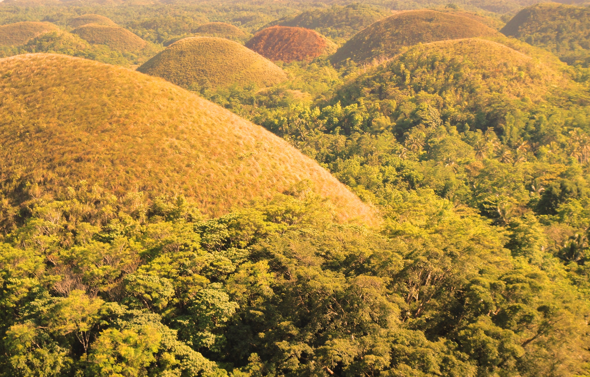 <p>Because of their unique color, the hills have become a famous tourist attraction in the Philippines. They are featured on the provincial flag and have even been called the eighth wonder of the world.</p>