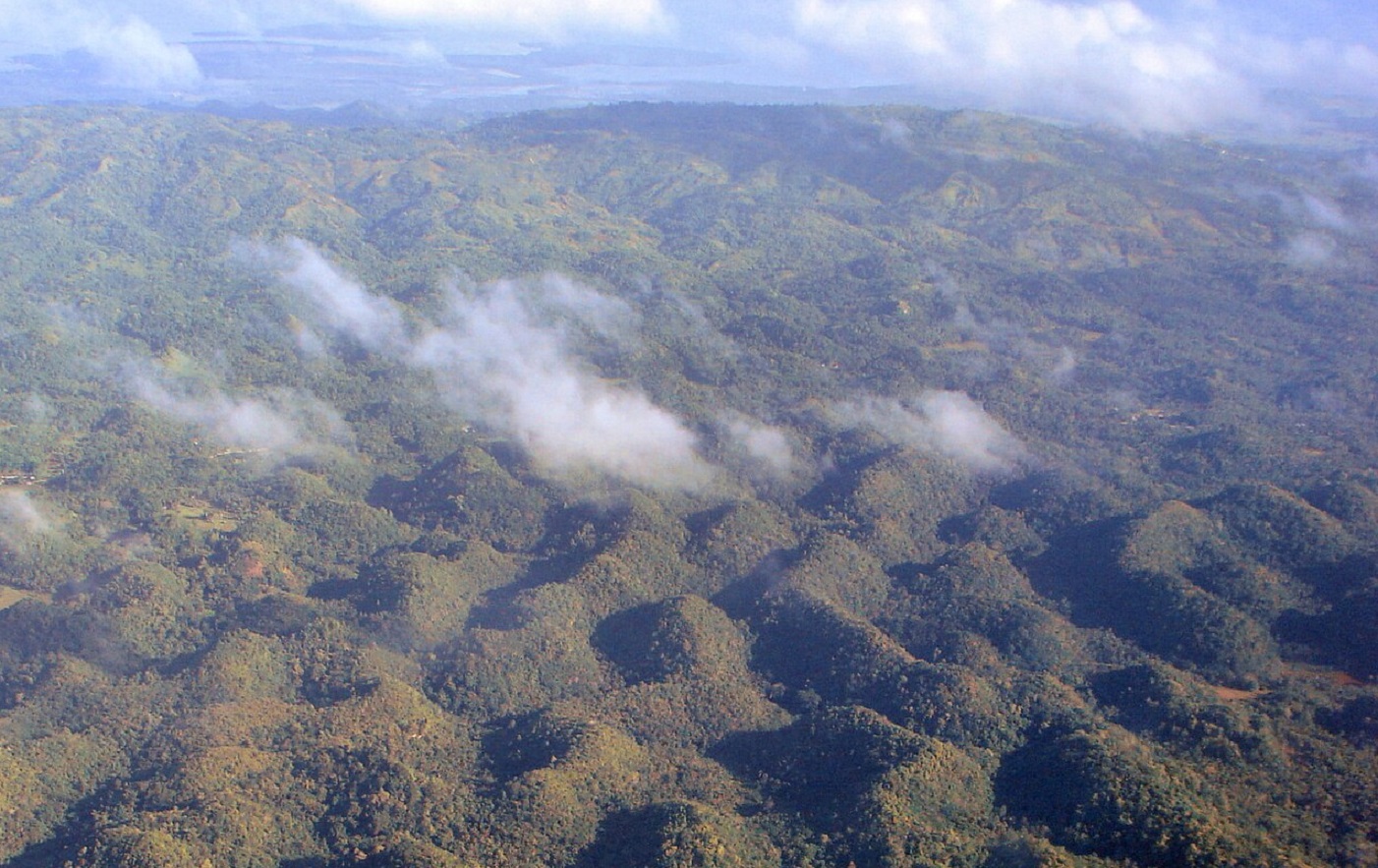 <p>While the hills themselves are covered in grass and ferns, the flat lands between the hills are used for growing important crops like rice. In recent years, though, these important crops and the hills themselves have been threatened by increasing quarrying activity in the area.</p>