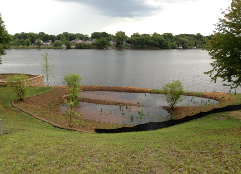 Landscaper Shares Before-and-after Of Effective Rain Garden In Action 