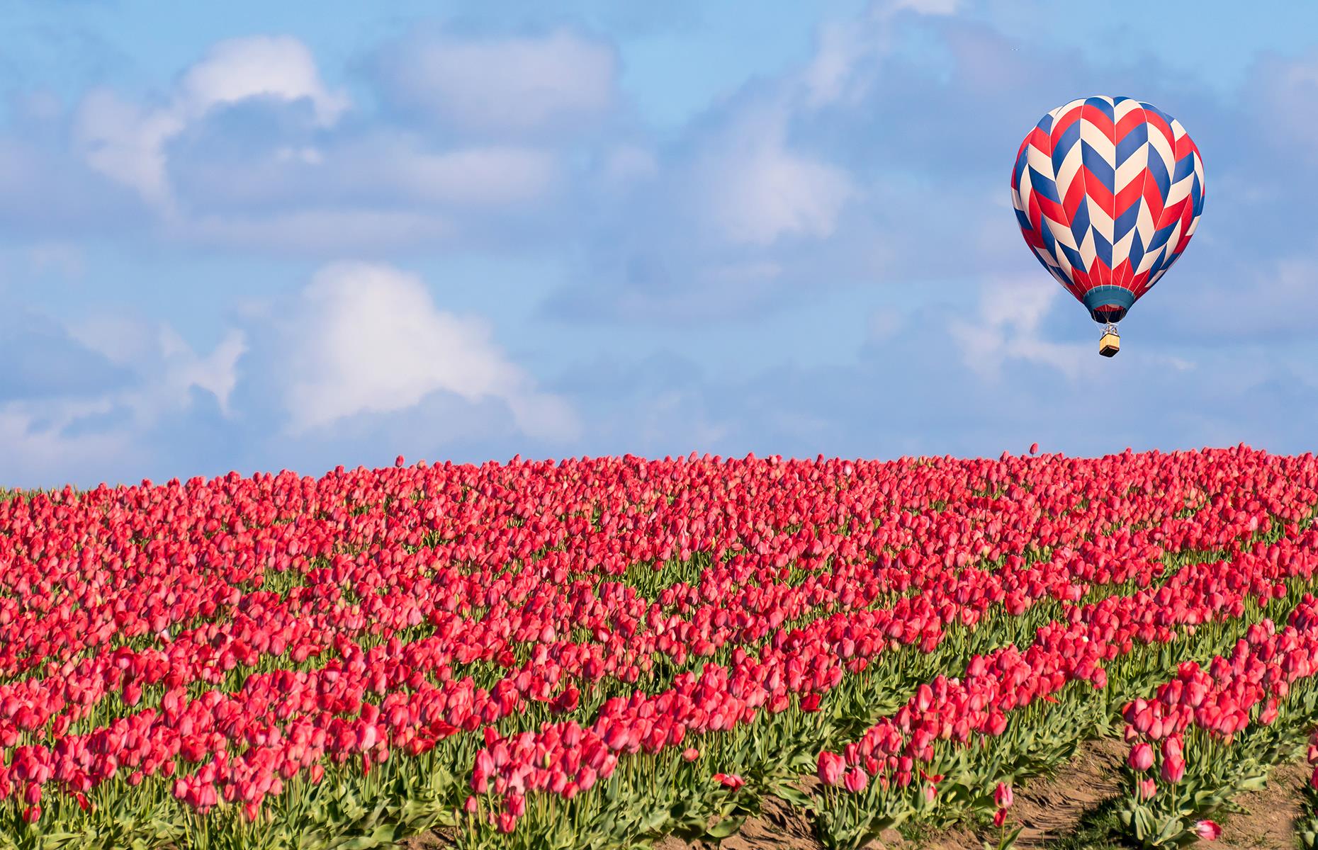 AFCON: Mali edge Burkina Faso in thrilling round of 16 clash 