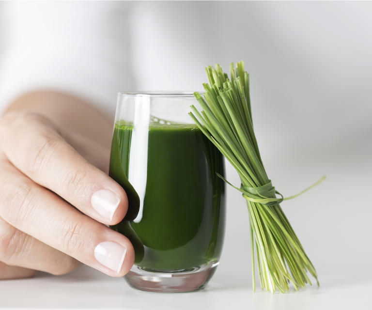 How To Grow Wheatgrass – For A Superfood Smoothie Full Of Vitamins