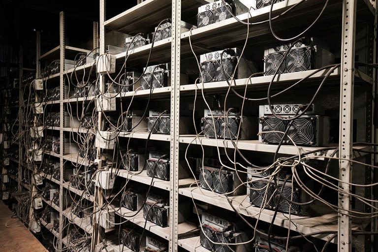 largest bitcoin miners in the world