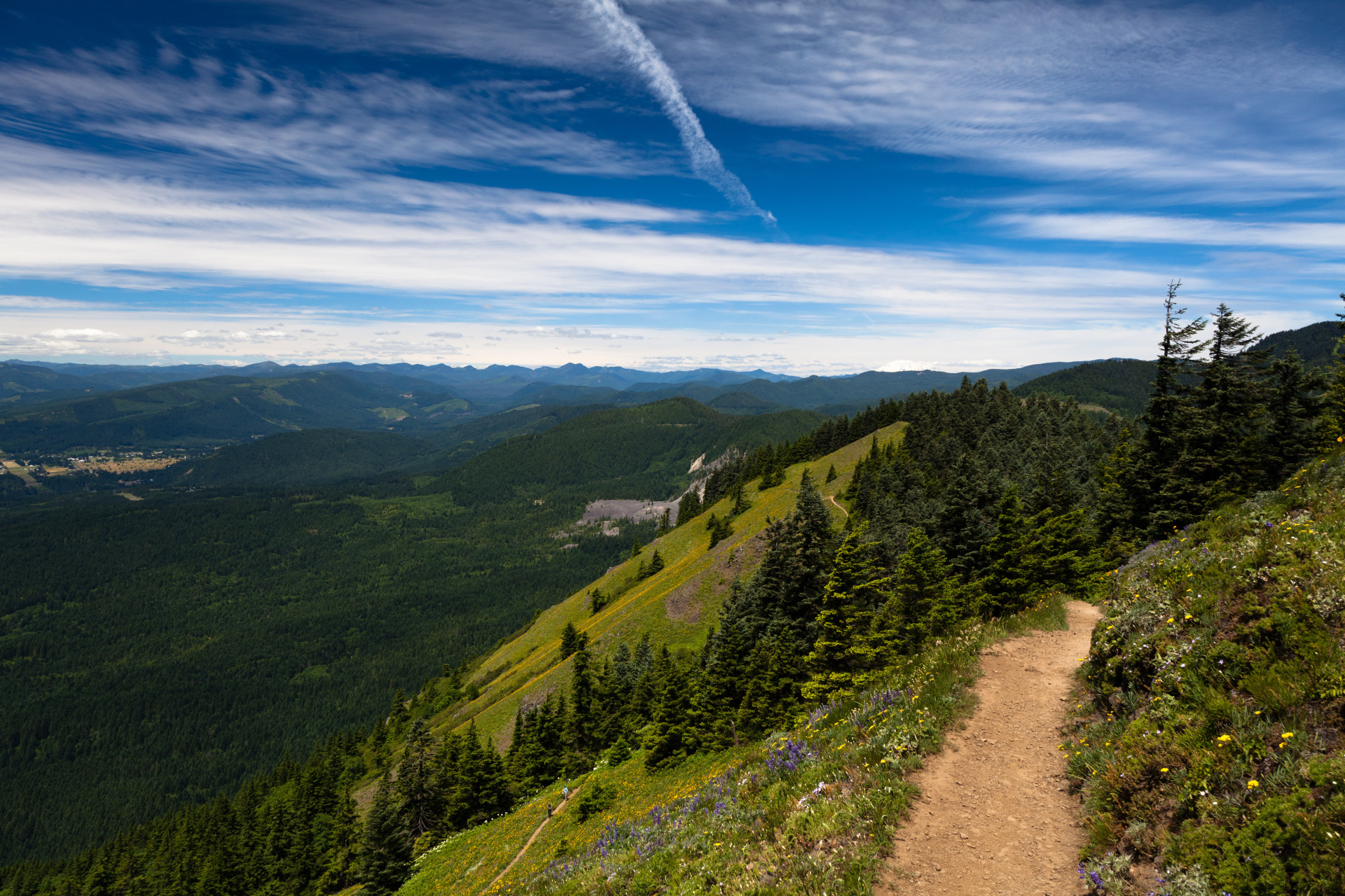 This exceptional 6.9-mile hiking trail rises up to 2,948 ft at its peak, and provides incredible views of the famous Gorge down below. Some of the most popular attractions in the area include Mount Hood and Mount St. Helens.<p>You may also like:<a href="https://www.starsinsider.com/n/472183?utm_source=msn.com&utm_medium=display&utm_campaign=referral_description&utm_content=247050v5en-us"> Missing people who were found alive</a></p>