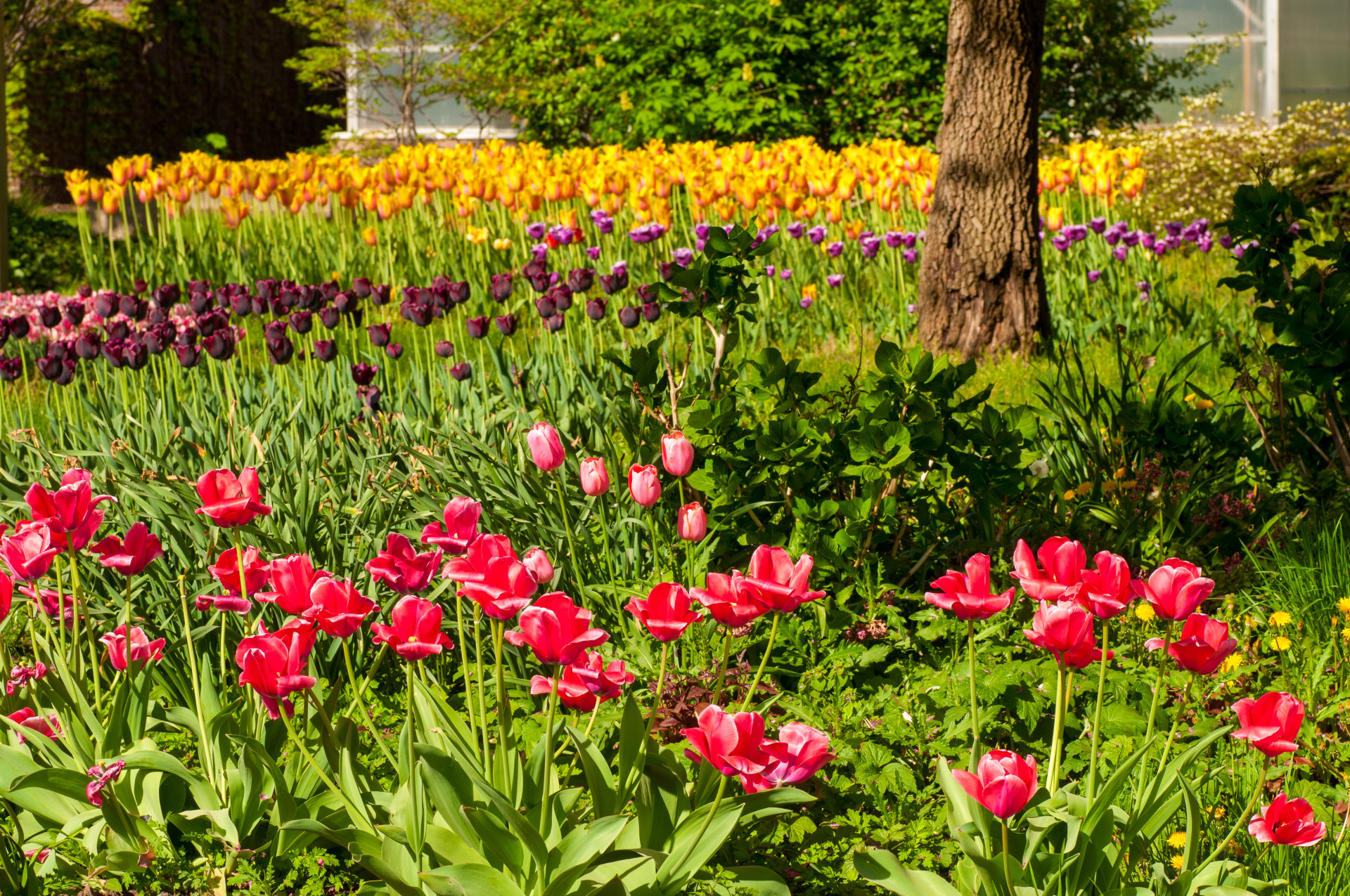 The park is home to 350 different types of plants, 50 animal species, and expansive fields of tulips that are truly to die for.<p>You may also like:<a href="https://www.starsinsider.com/n/473255?utm_source=msn.com&utm_medium=display&utm_campaign=referral_description&utm_content=247050v5en-us"> How often you should be washing these everyday items</a></p>