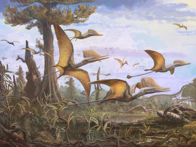 Skeleton of new flying dinosaur species discovered on beach