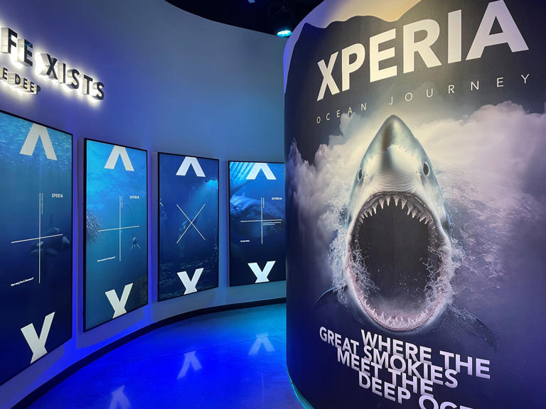 Take a journey 3,000 ft below the surface of the ocean to experience life at sea.