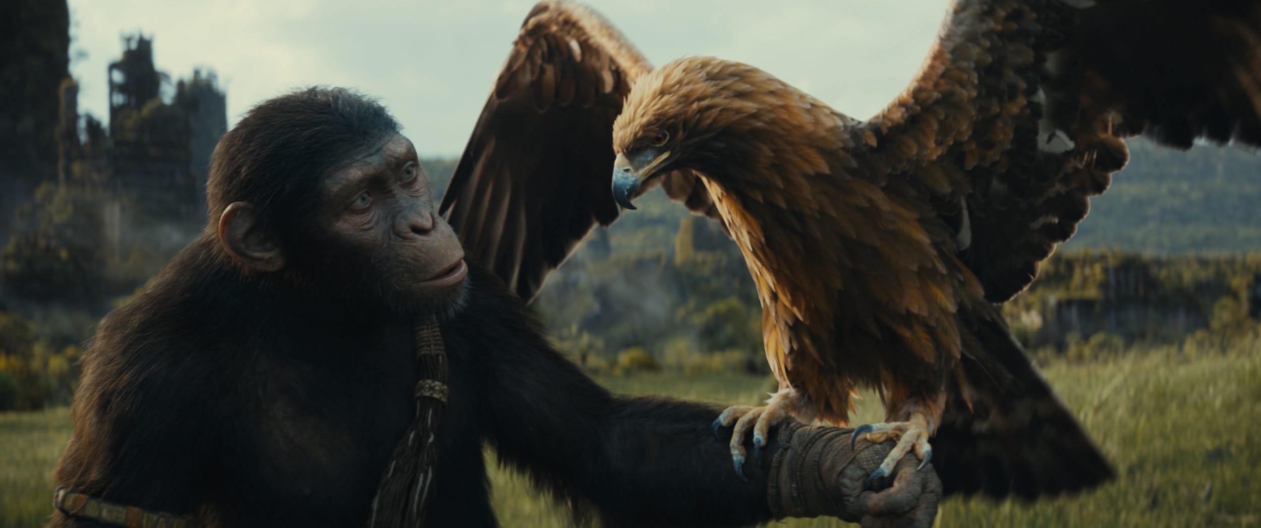 <p>Apes are now the dominant species on Earth while humans have regressed in the sequel to 2017's "War for the Planet of the Apes."</p><p>The fourth film in the franchise, from director Wes Ball ("The Maze Runner" trilogy), picks up under the tyrannical rule of a new ape leader, Proximus Caesar, as a young ape, Noa (Owen Teague), sets out on a journey that causes him to question everything he's believed.</p>