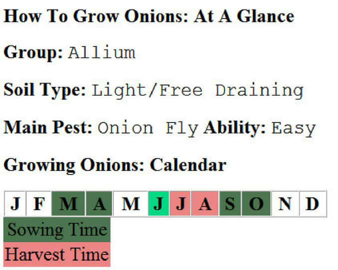 How To Grow Onions – A Step By Step Guide To An Abundant Harvest