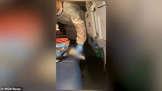 tiny chihuahua causes a stink on united airlines flight from denver to portland after it relieves itself on woman's lap an hour before landing