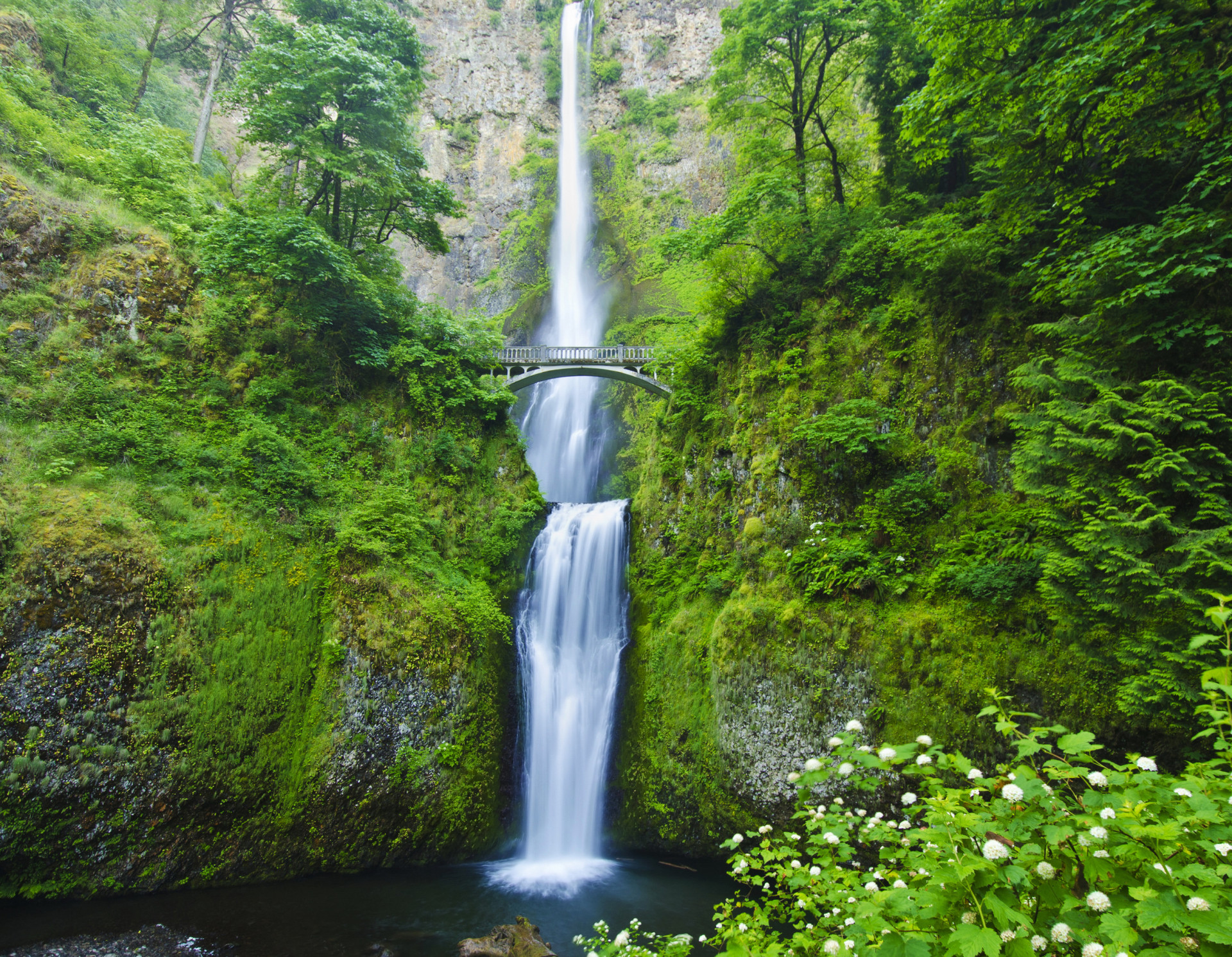 If this waterfall isn't the living manifestation of what dreams are made of, then what is? Otherwise known as Bridal Falls, this colossal cascade is the tallest in all of Oregon, at a height of 620 ft.<p><a href="https://www.msn.com/en-us/community/channel/vid-7xx8mnucu55yw63we9va2gwr7uihbxwc68fxqp25x6tg4ftibpra?cvid=94631541bc0f4f89bfd59158d696ad7e">Follow us and access great exclusive content every day</a></p>