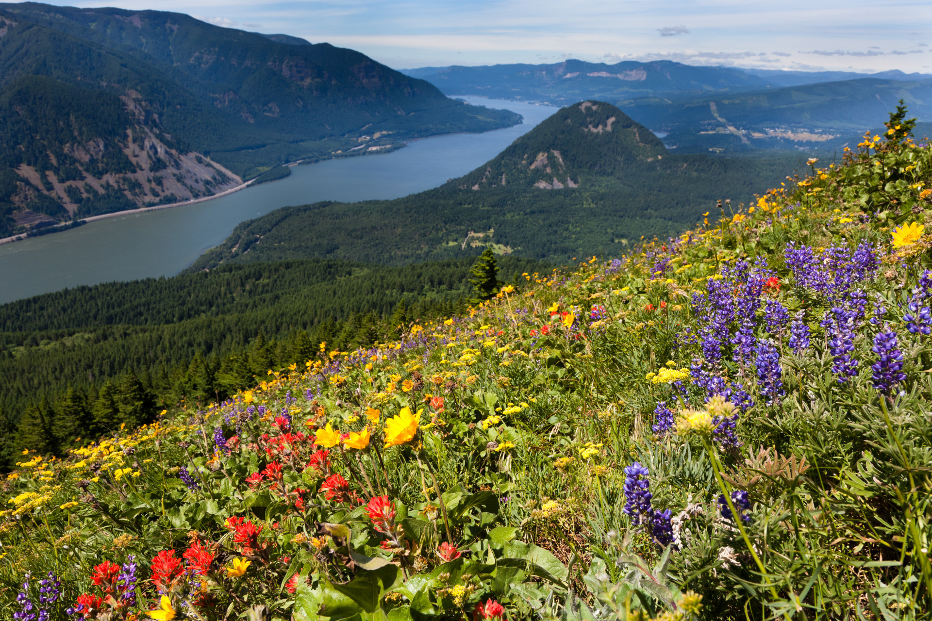 This picturesque trailhead overlooking Washington's lovely Columbia River Gorge looks as though it could be in 'The Sound of Music.' It is especially stunning during springtime when red, blue, and yellow wildflowers dot the cliffside.<p><a href="https://www.msn.com/en-us/community/channel/vid-7xx8mnucu55yw63we9va2gwr7uihbxwc68fxqp25x6tg4ftibpra?cvid=94631541bc0f4f89bfd59158d696ad7e">Follow us and access great exclusive content every day</a></p>