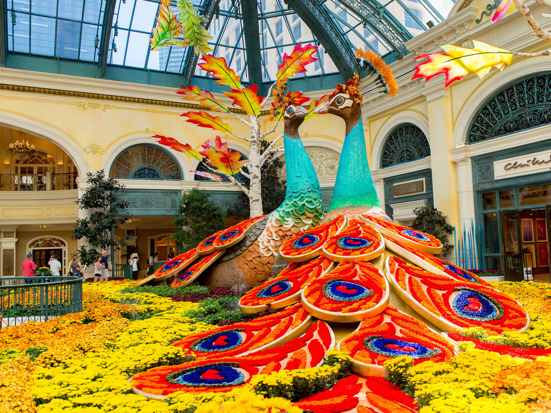 Fantasies come to life at these glorious gardens inside the luxurious Bellagio Hotel in Las Vegas. Here thousands of flowers are harvested and transformed into mesmerizing works of art beyond your wildest dreams.<p><a href="https://www.msn.com/en-us/community/channel/vid-7xx8mnucu55yw63we9va2gwr7uihbxwc68fxqp25x6tg4ftibpra?cvid=94631541bc0f4f89bfd59158d696ad7e">Follow us and access great exclusive content every day</a></p>