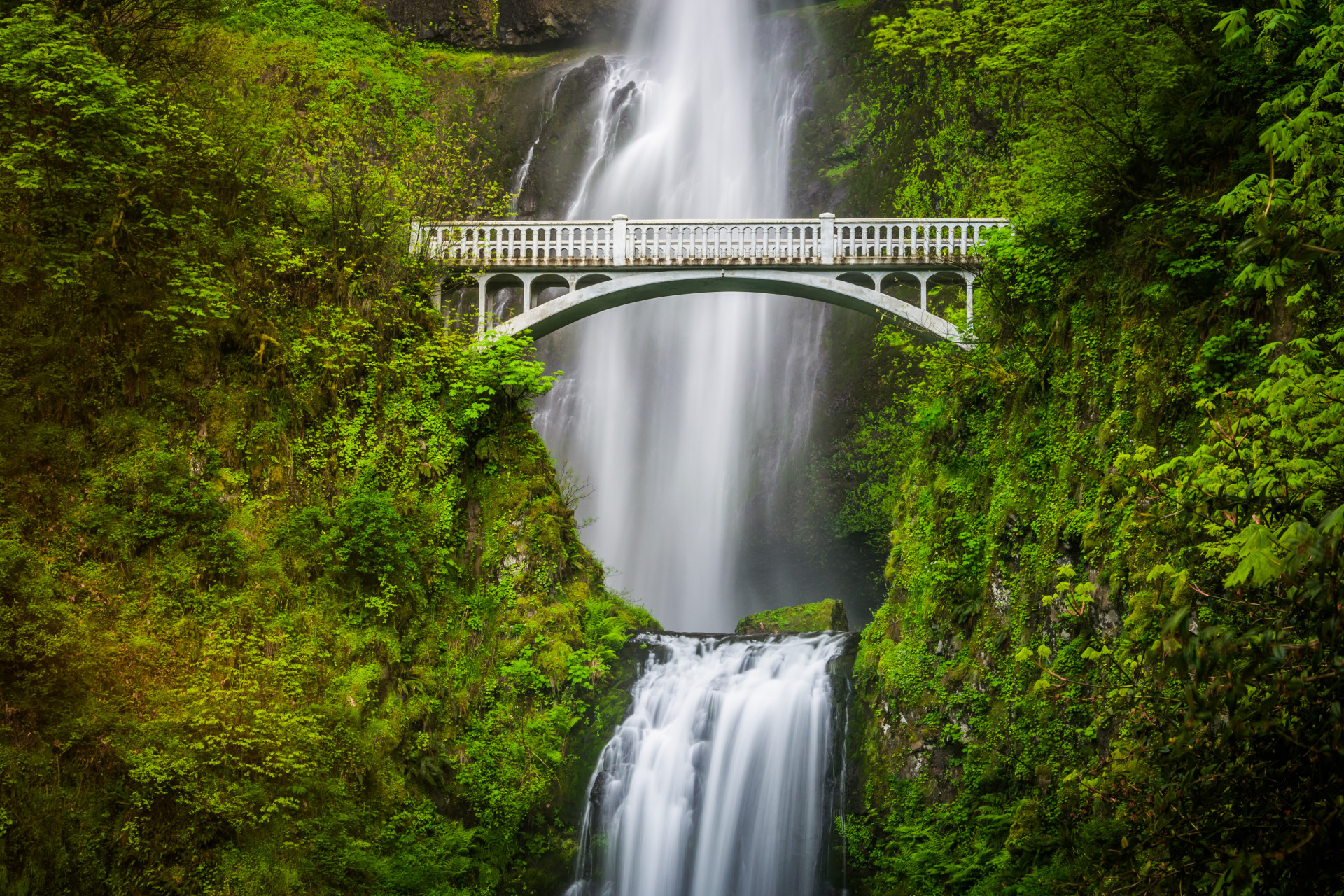 <p>Nestled between two basalt rocks draped in a layer of luminous green moss is the  Historic Columbia River Highway, which looks quite possibly like the motorway to heaven. If you want to discover more idyllic locations in the Pacific Northwest has to offer, click <a href="https://us.starsinsider.com/travel/239670/the-pacific-northwests-most-idyllic-locations">here</a>.</p><p>You may also like:<a href="https://www.starsinsider.com/n/302589?utm_source=msn.com&utm_medium=display&utm_campaign=referral_description&utm_content=247050v5en-us"> Remembering Christopher Plummer, Hollywood's distinguished gentleman</a></p>