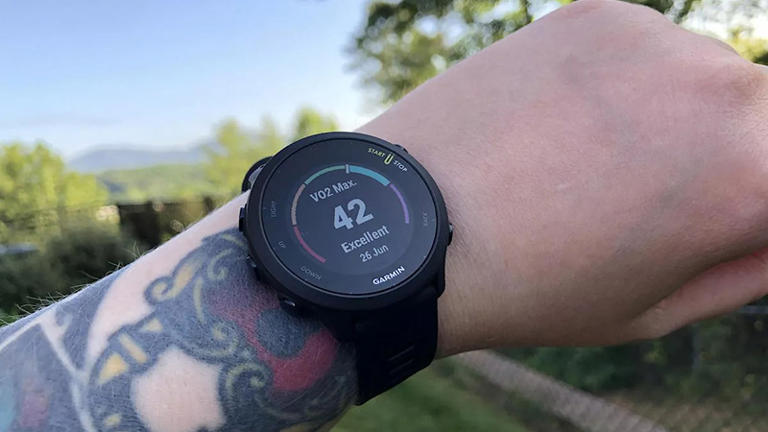 Leaked Garmin Forerunner 165 has nearly everything thrifty runners ...