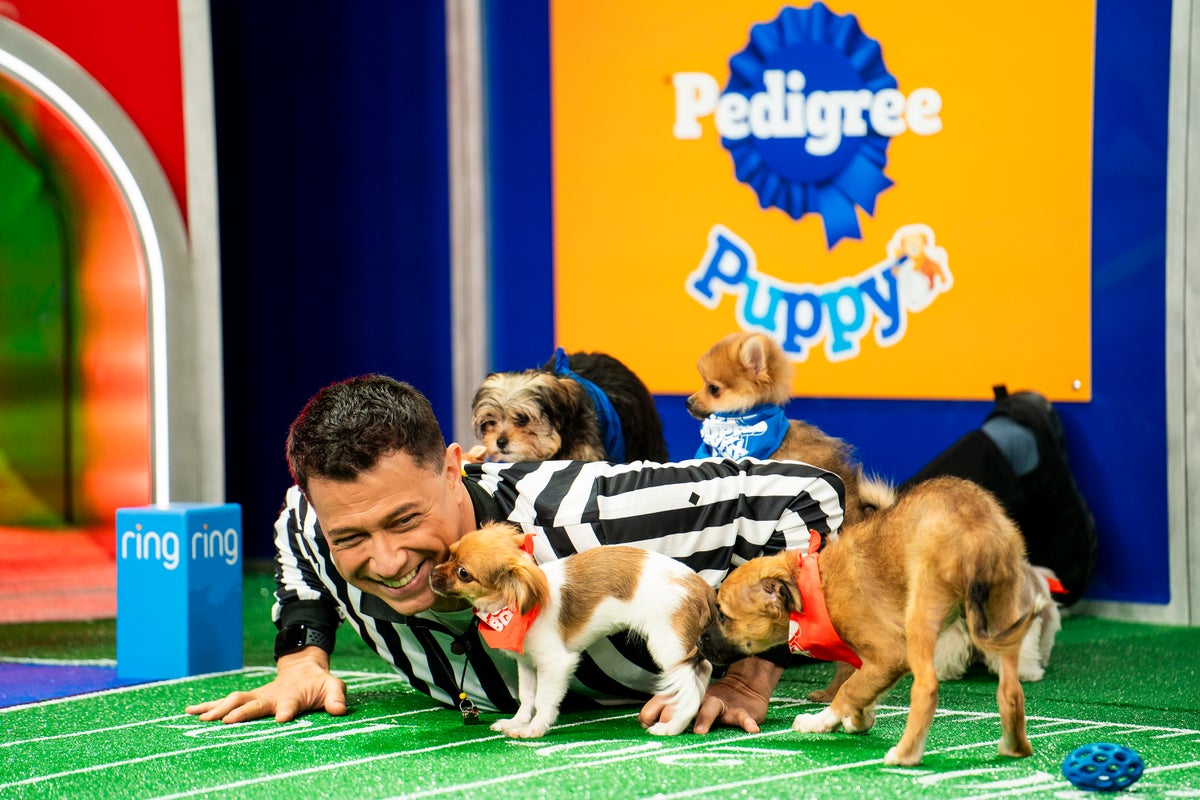 Puppy Bowl XX Who S Competing On Team Ruff And Team Fluff   BB1hWoVb.img