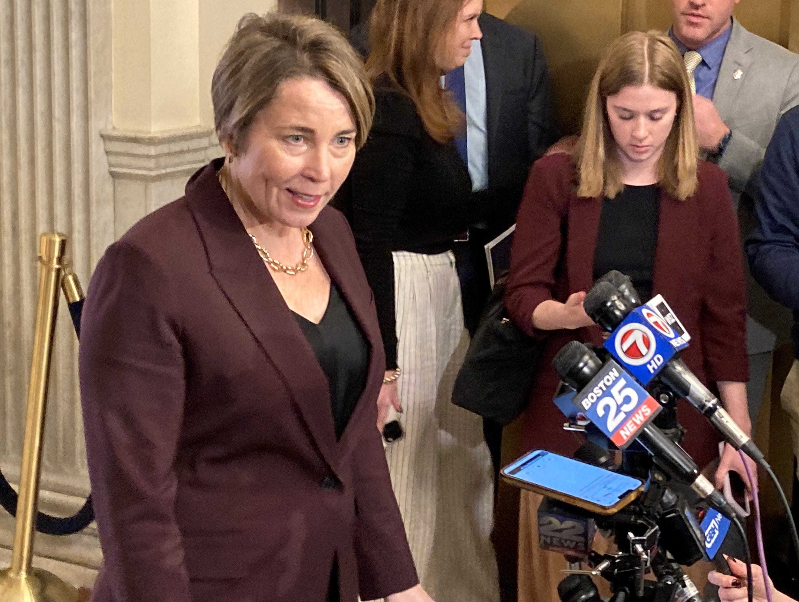 Gov. Healey Defends Nomination Of Former Domestic Partner To State ...