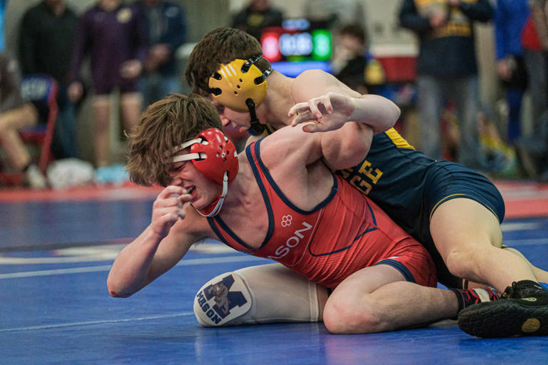 MHSAA regional wrestling roundup Mason, DeWitt have multiple champions