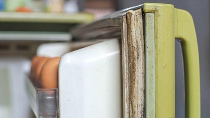 7 cara membersihkan karet pintu kulkas dari noda membandel,mudah dilakukan