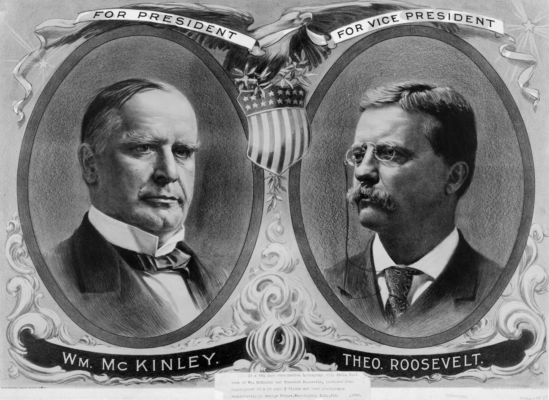 Theodore Roosevelt: Alles Wissenswerte Über Den Präsidenten – NCIPEN