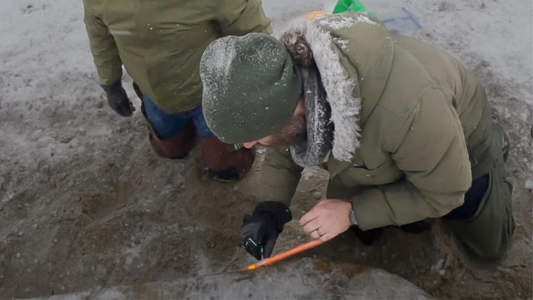 Mysterious 19th century shipwreck washes up on snow-covered Canada ...