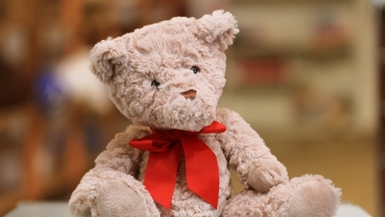 Teddy Day 2024 Date History And Significance   BB1hXr2m.img