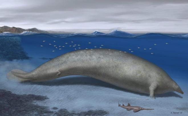 esta es la criatura que ha arrebatado a la ballena azul el título de animal más pesado de todos los tiempos