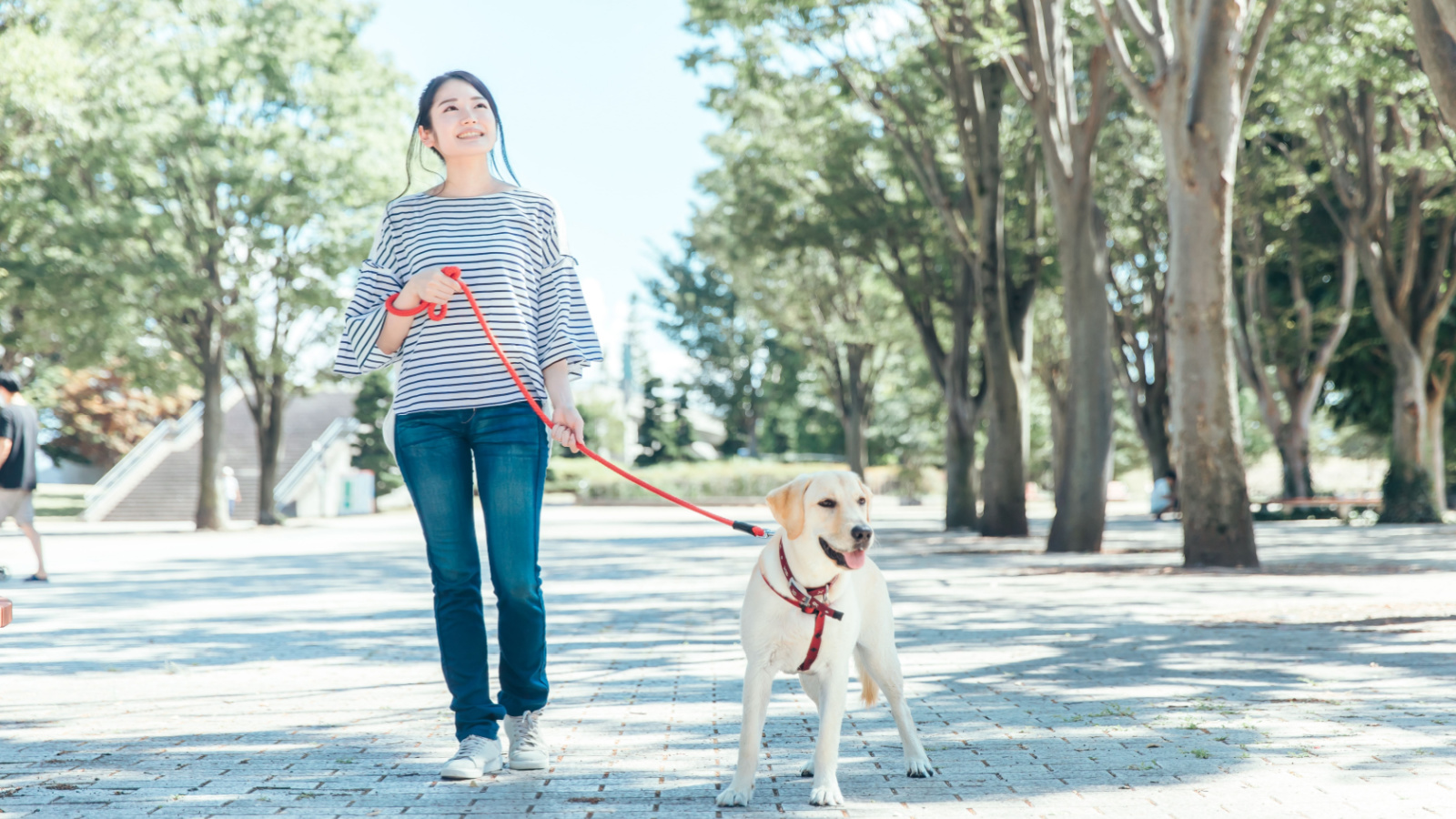 image credit: buritora/shutterstock <p><span>Offering pet care services like dog walking, pet sitting, or grooming can be both enjoyable and profitable for animal-loving teens. This provides a flexible source of income and nurtures empathy and responsibility. It’s a caring and fun way to contribute to their college expenses.</span></p>