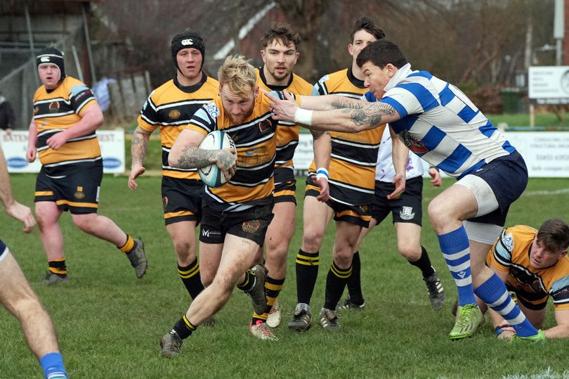 rugby round-up: hartpury, cinderford beaten; glos-hartpury fight back; stow leave it late; matson's vital win; cents derby joy; levens, league march on; bream sink rivals; tigers beat leaders - plus fixtures