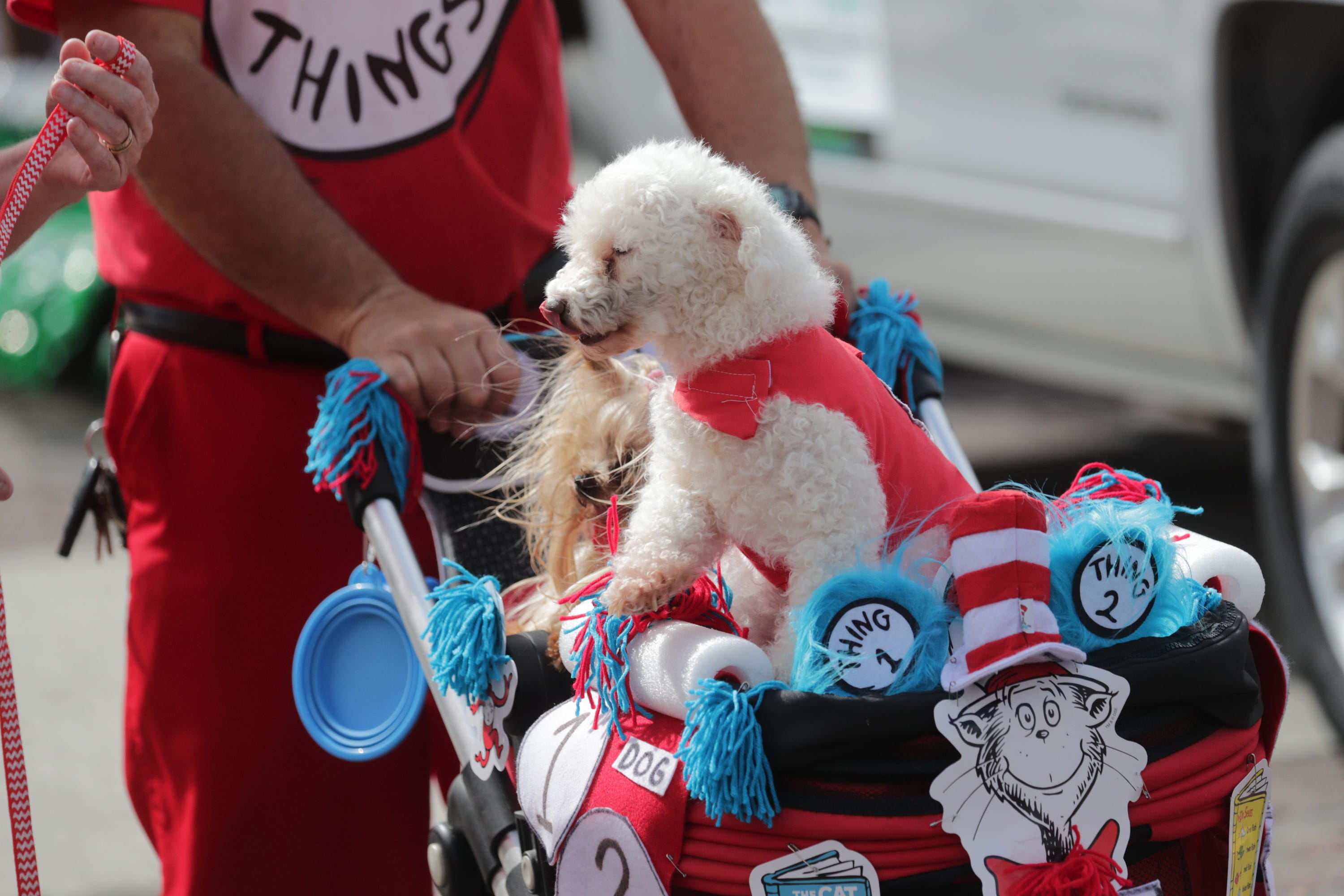 PRIDE Cape Coral Parade Celebrates LGBTQ Culture In Downtown Cape Photos   BB1hYBPY.img