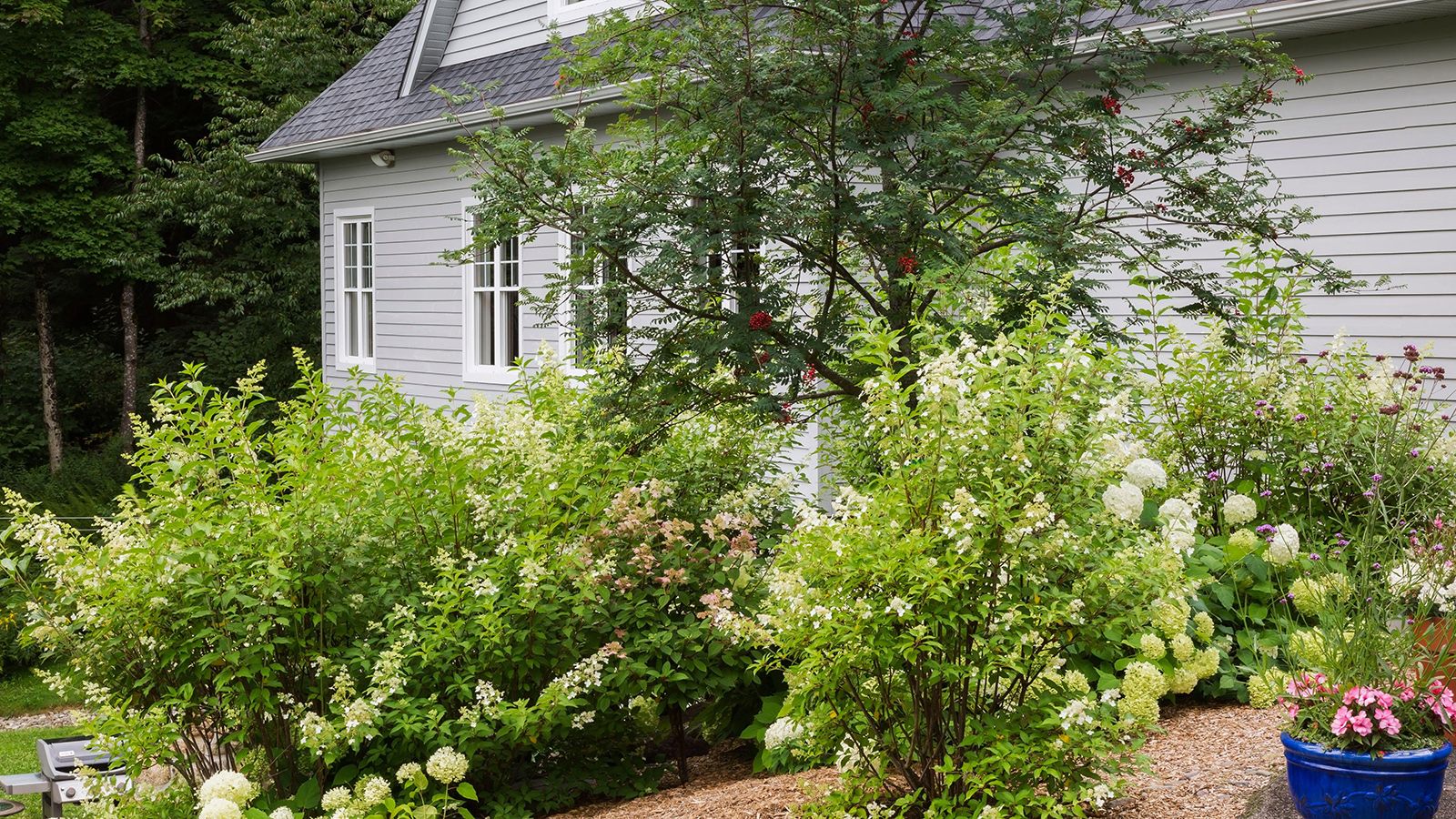 Landscaping With Shrubs – 10 Ways To Bring These Wonderful, Woody ...