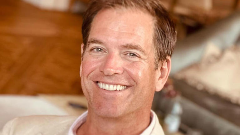 Michael Weatherly says he has a lot to smile about