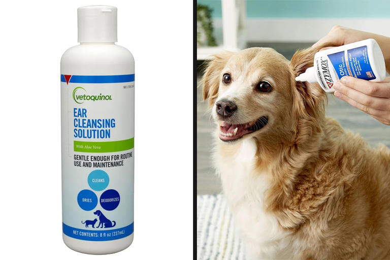 Best 7 Ear Cleaners For Dogs Safe And Effective Ear Medication